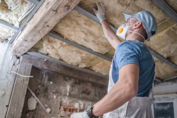 Best Insulation for Specific Applications in Columbia, CA