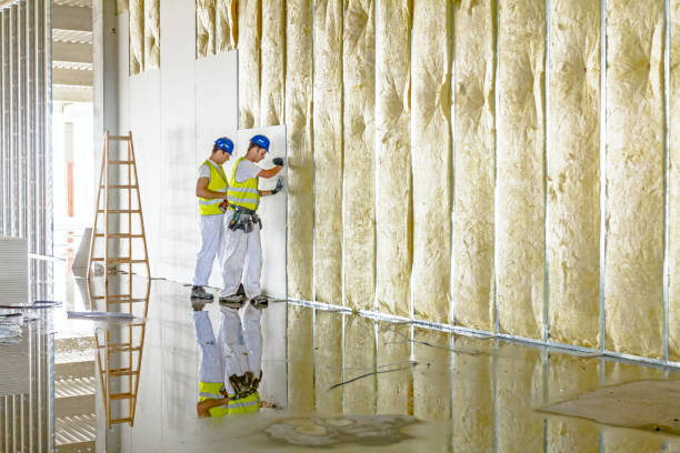 Best Types of Insulation in Columbia, CA